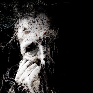 les racines du mâle