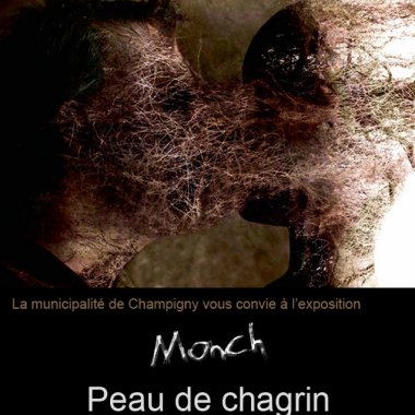 Peau de chagrin . Champigny (2013)