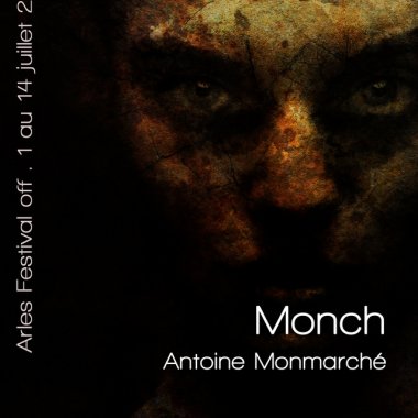 Les Rencontres Photographiques d'Arles . (2019)