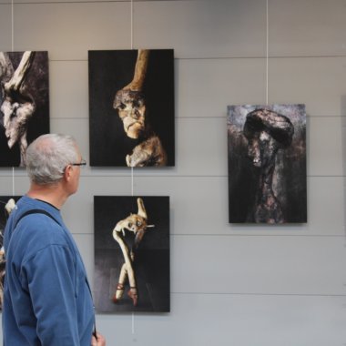 Artcité - Fontenay-sous-Bois (2012)