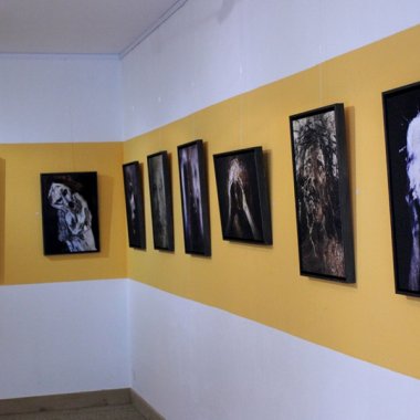 Galerie du Jansanet #3 . Troyes (2015)