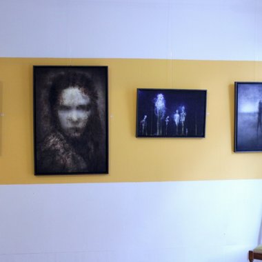 Galerie du Jansanet #4 . Troyes (2015)