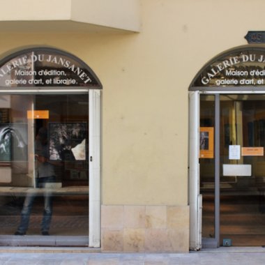 Galerie du Jansanet #5 . Troyes (2015)