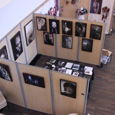 Salon Puls'Art #3 . Le Mans (2015)