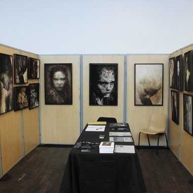 Salon Puls'Art #5 . Le Mans (2015)