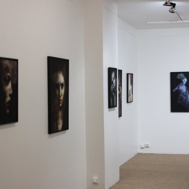 Galerie Schwab-Beaubourg #3 . Paris (2017)