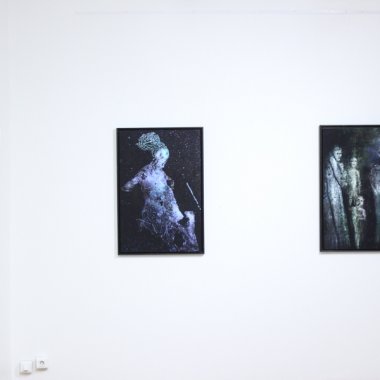 Galerie Schwab-Beaubourg #4 . Paris (2017)