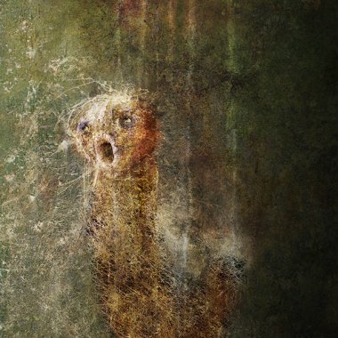 En ver et contre tout